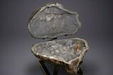 Amazing Quartz Geode Display on Stand - Spectacular #351499-8